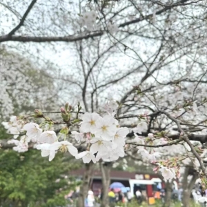春暖花開 約會女神丨匯信集團(tuán)關(guān)愛女職工活動